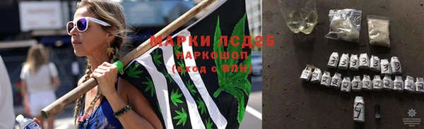 ешки Елизово
