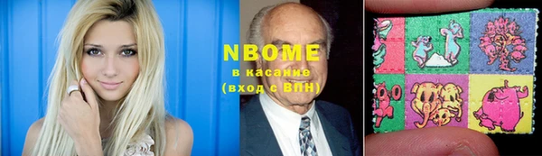стаф Каменногорск