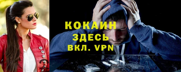 стафф Каменск-Шахтинский