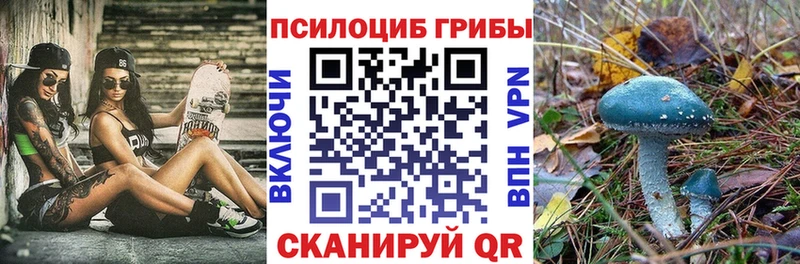 продажа наркотиков  Назарово  мега tor  Псилоцибиновые грибы мухоморы 